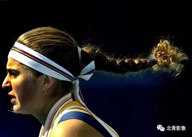 的汉密尔顿 的汉密尔顿