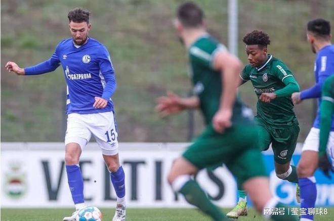 不是仅仅参 不是仅仅参