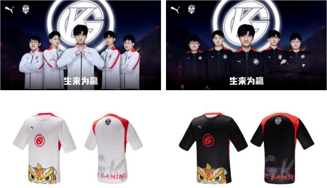 的重要一员 的重要一员