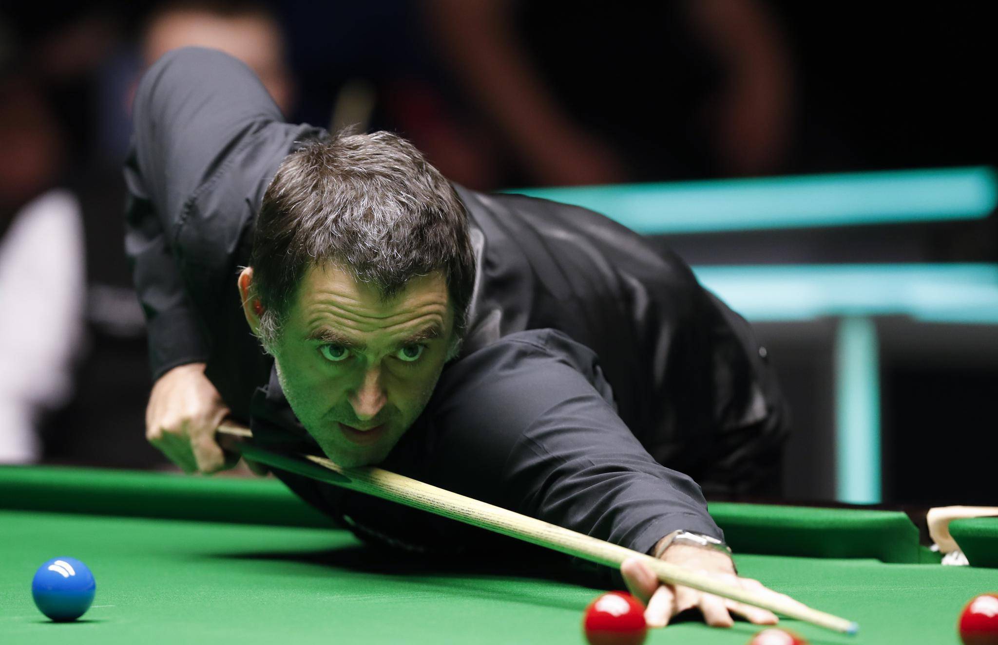 我们看到了 我们看到了